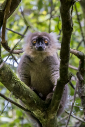 Madagascar 2022